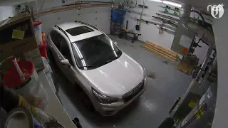 Garage Nest cam captures SUV rocking in Alaska's 7.0 earthquake