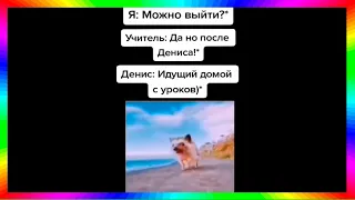 тыгыдык шабамын (подборка тикток)