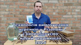 Технологія вимочування черенків у Різопоні і випробовуємо новий укорінювач 2024