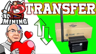 🛠 Setup and Transfer of Calchip Rak2 HNT Helium Hotspot Miner | Mining Red Panda's Helium