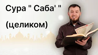 Читаю суру Саба' (№ 34) один раз от начала до конца. #ArabiYA#коран​ #АрабиЯ #Нарзулло