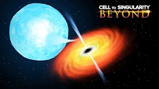 Supernova Aftermath & Black Holes! Cell to Singularity Beyond #23