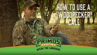 How to Locate Gobblers Using the Pileated Woodpecker Call