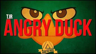 TJR - Angry Duck (Original Mix)