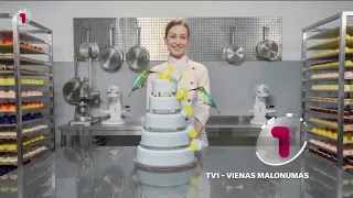 TV1 HD - programos pradžia (2021.05.11)