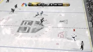 FUNNIEST GOAL IN NHL 15