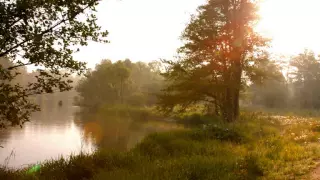 Śpiew Ptaków w Lesie nad Rzeką Wartą