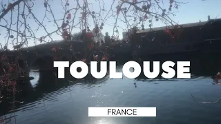 Toulouse City walking tour