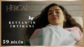 Özür dilerim… - Hercai 59.Bölüm