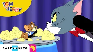 Tom and Jerry | Cheese Time Compilation | Cartoonito Africa