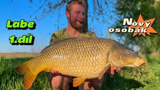 Rybaření na Labi // Lov velkého kapra // OSOBÁK // Big Carp fishing on River Elbe