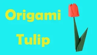 How to Fold an Origami Tulip Flower