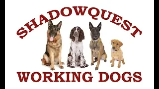 Shadowquest Working Dog Display Team