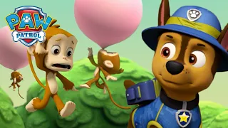 Tlapky z džungle zachraňují opičky foukající bubliny! - Tlapková Patrola PAW Patrol pohádky pro děti