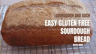 Easy Gluten Free Sourdough Sandwich Bread (made in one day, no Dutch oven needed)!!