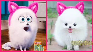The Secret Life Of Pets 2 IN REAL LIFE 💥 All Characters 👉@WANAPlus