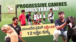 Mantravadi Chandrasekhar About Most Expensive Dog | Progressive Canines Dog Training |Great Dane Dog