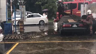 Giant Crocodile in Malaysia || ViralHog