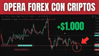 ✅ Cómo Operar Forex con Criptos | Tutorial BingX | Delox