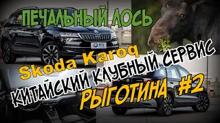 Skoda Karoq:  "Китайский Клубный Сервис"  Рыготина №2 (2021)