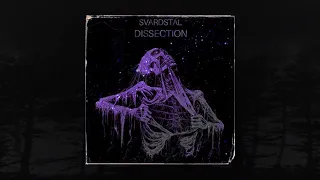 SVARDSTAL - DISSECTION (MEMPHIS 66.6 EXCLUSIVE)