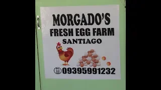 Mindanao Farm costs and practicalities Part 1