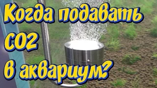 Углекислый газ СО2  для аквариума! Когда стоит подавать CO2  в аквариум!