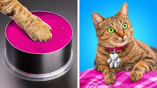 BEST CRAFTS FOR YOUR PET || HOMELESS CAT MAKEOVER