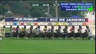 Jockey Club Brasileiro - Grande Prêmio Brasil 2014