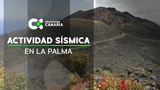 ACTIVIDAD SÍSMICA EN LA PALMA | Buenos días Canarias