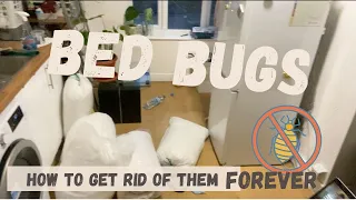 How to get rid of BED BUGS FOREVER | My experience dealing with them