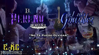 No Te Puedo Olvidar-El Pereño De Oaxaca Ft. Luis Gonzalez