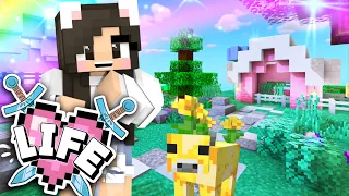 💙Collecting RARE Animals! Minecraft X Life Ep.5