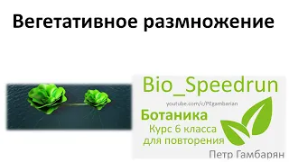 12. Вегетативное размножение (Speedrun ботаника 6 класс, ЕГЭ, ОГЭ 2021)