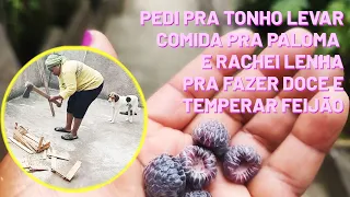 Pedi pra Tonho levar comida pra Paloma e rachei lenha pra fazer doce de🍌sem açúcar