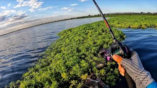 A Perfect Summer Day of Fishing