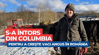 Toma Zerestea s-a întors din Columbia pentru a crește Angus la Sebeșu de Jos