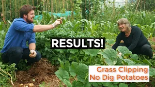 RESULTS! No Dig Potatoes in Grass Clippings | Easy to Grow Potatoes 2020