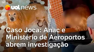 Morte de cachorro após erro da Gol será investigada por Anac e Ministério de Aeroportos