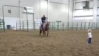 Horse incredibly plays with little girl best friend