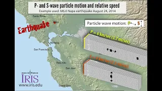 Seismic Waves—P- and S-wave particle motion and relative wave-front speeds