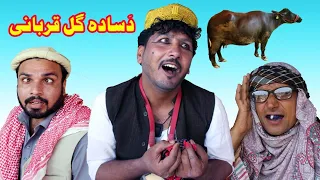 Da Sada Gul Qurbani | Funny Video By Sada Gul Vines 2020