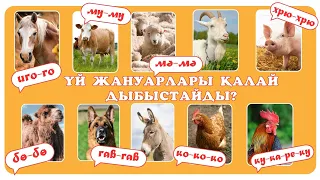 ҮЙ ЖАНУАРЛАРЫ ҚАЛАЙ ДЫБЫСТАЙДЫ? СИЫР ДАУЫСЫ. ЖЫЛҚЫ ДАУЫСЫ. ҚОЙ ДАУЫСЫ. ЕШКІ ДАУЫСЫ. ТҮЙЕ ДАУЫСЫ.