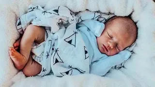Nach dem tragischen Tod beider Eltern wird ein 6 Wochen altes Baby zu einem Vollwaisen