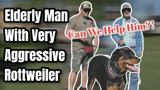 AGGRESIVE & OUT OF CONTROL ROTTWEILER GETS TRAINED NOW | PROFESSIONAL DOG TRAINING SOLUTIONS