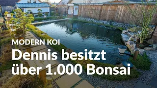 Dennis 36.000 Liter Koiteich im Japangarten mit coolen Eigenzuchten | Modern Koi Blog #6449