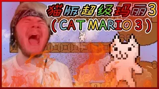 THE RETURN OF CAT MARIO (AND IT'S EVEN HARDER THIS TIME) | CAT MARIO 3 #1