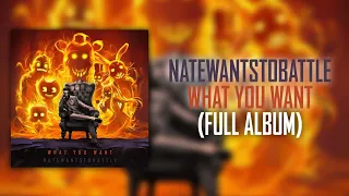 NateWantsToBattle - What You Want (Full Album)