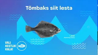 Lest - tõmbaks siit lesta