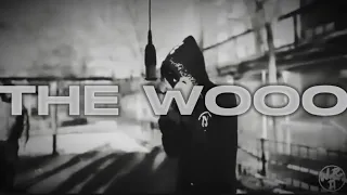 [FREE] Pop Smoke x Fivio Foreign  x Luciano Type Beat 2024 - "The WOO II"